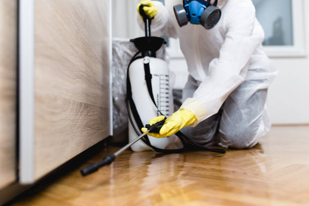 Best Affordable Pest Control Services  in Spirit Lake, IA