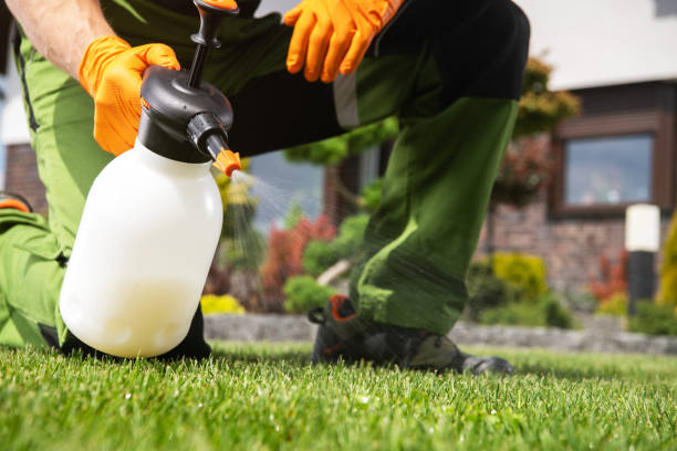 Best Pest Prevention Services  in Spirit Lake, IA
