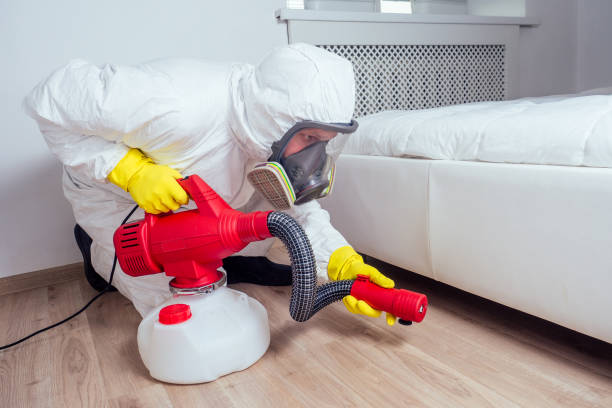 Reliable Spirit Lake, IA Pest Control Solutions