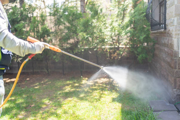Professional Pest Control in Spirit Lake, IA