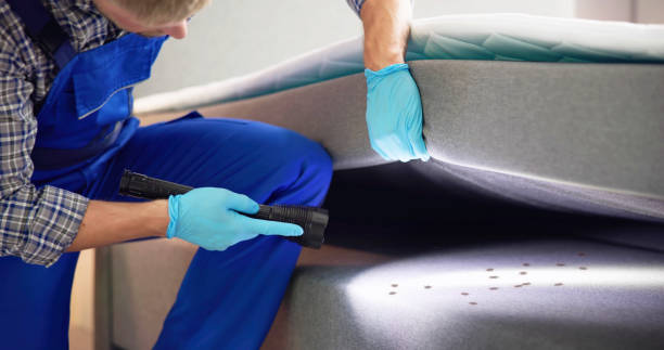 Best Wasp Removal Services  in Spirit Lake, IA
