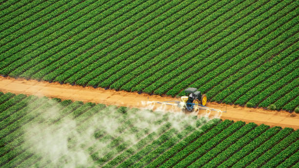 Best Best Pest Control Companies  in Spirit Lake, IA