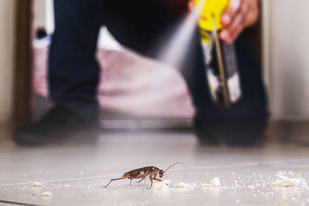 Best Best Pest Control Companies  in Spirit Lake, IA