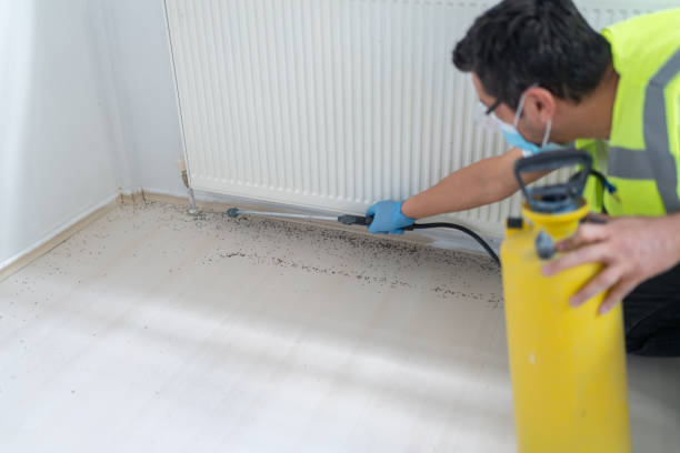 Best Pest Inspection Near Me  in Spirit Lake, IA